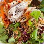 Chicken Noodle Salad with Sesame Soy Dressing Recipe