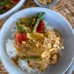 Slow Cooker Chicken Satay
