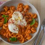 Not Spicy, Not Vodka Pasta served on a plate with a side fork, displaying pasta in a creamy sauce.