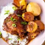 close up chicken adobo recipe with potatoes plated
