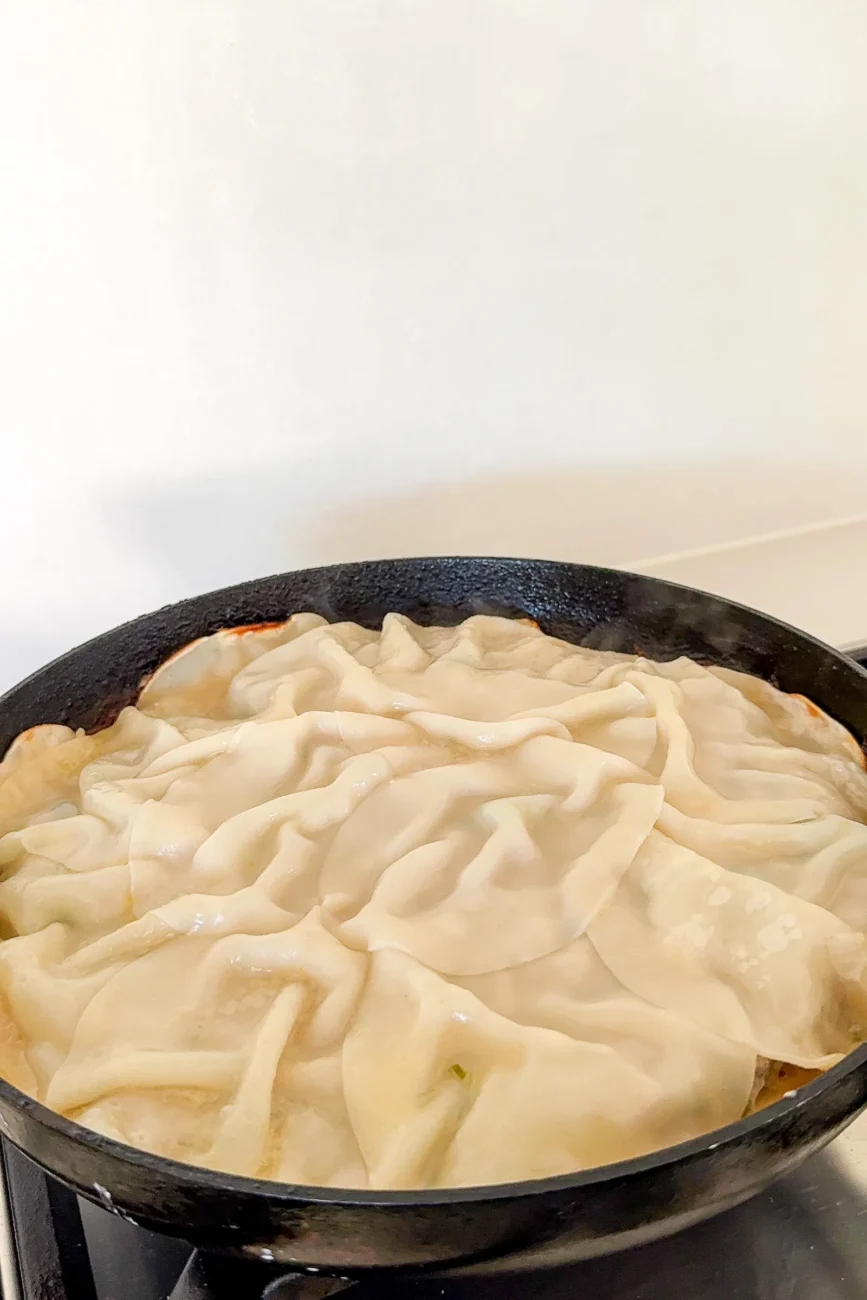 Cooked dumpling lasagne in the pan
