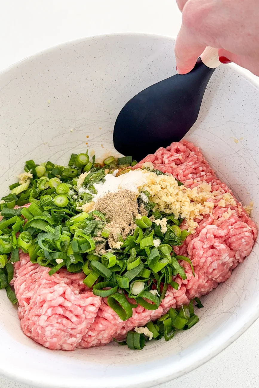 Dumpling lasagne ingredients in bowl ready to be mixed