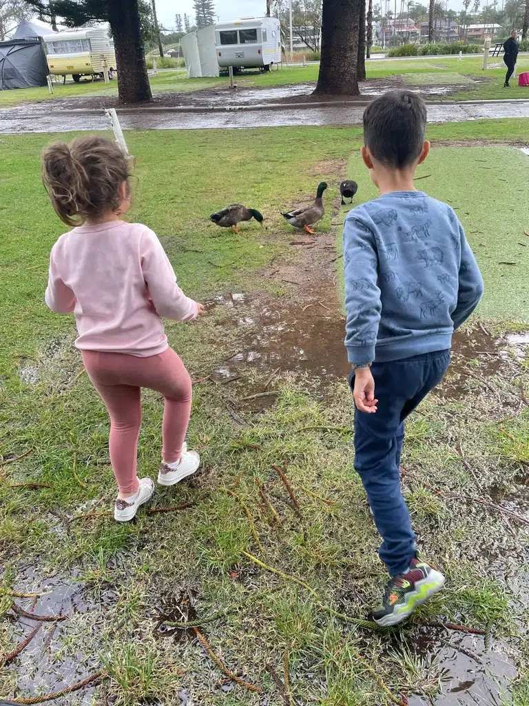 Nicole's two children chasing ducks on the grass at a caravan park