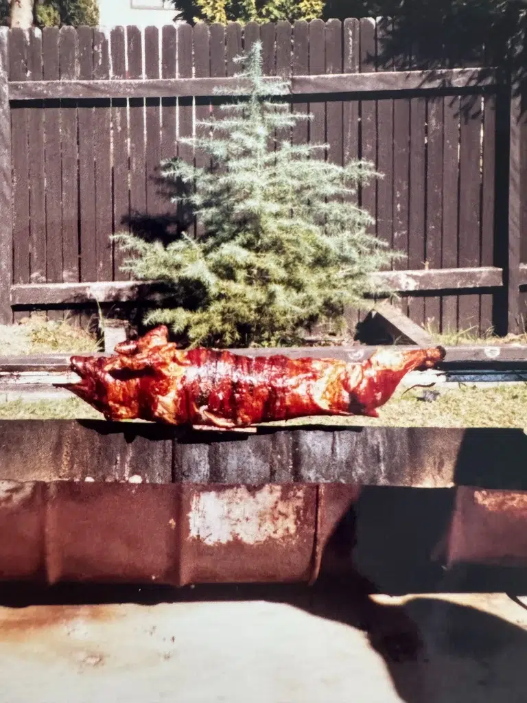 A pig roasting on a spit in a backyard at a family gathering